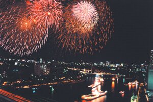 Fireworks light up the night sky